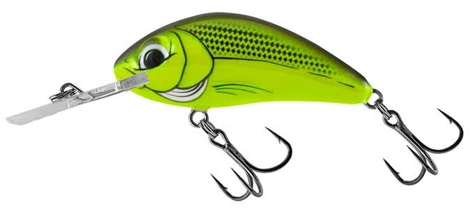 Salmo Rattlin Hornet Floating 4.5cm