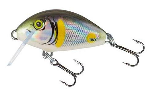 Salmo Tiny 3cm Sinking