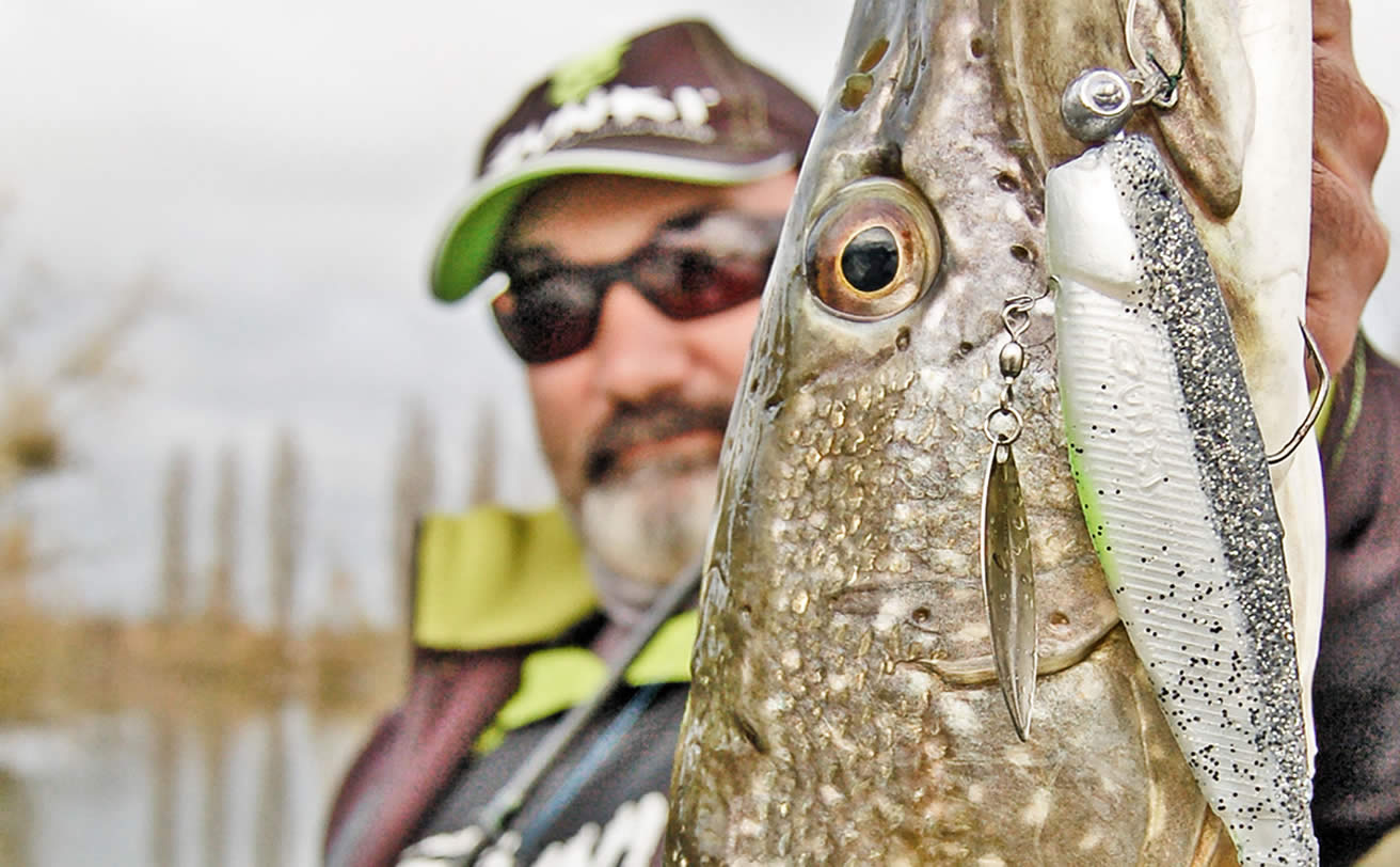 Z-MAN Texas Eye Jig Heads from